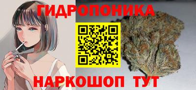 ALPHA PVP Кингисепп