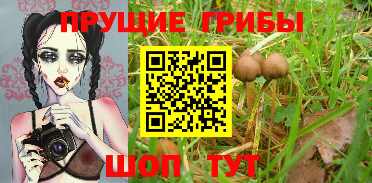 Лабинск  Галлюциногенные грибы мухоморы  Вход с VPN  Галлюциногенные грибы Cubensis 