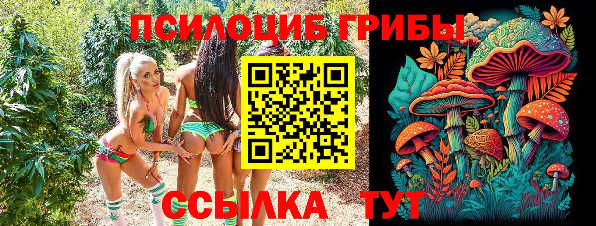 Галлюциногенные грибы MAGIC MUSHROOMS Лабинск